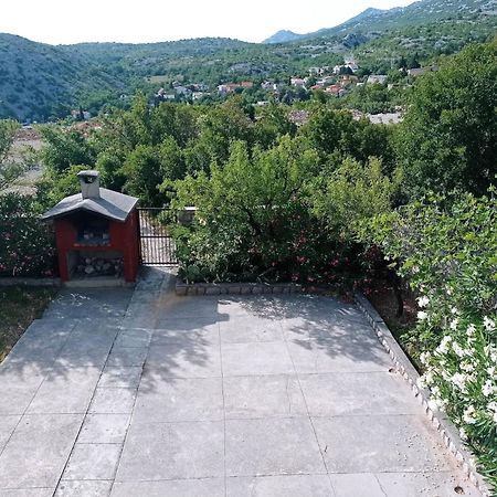 Villa Alexa Чезарица Экстерьер фото
