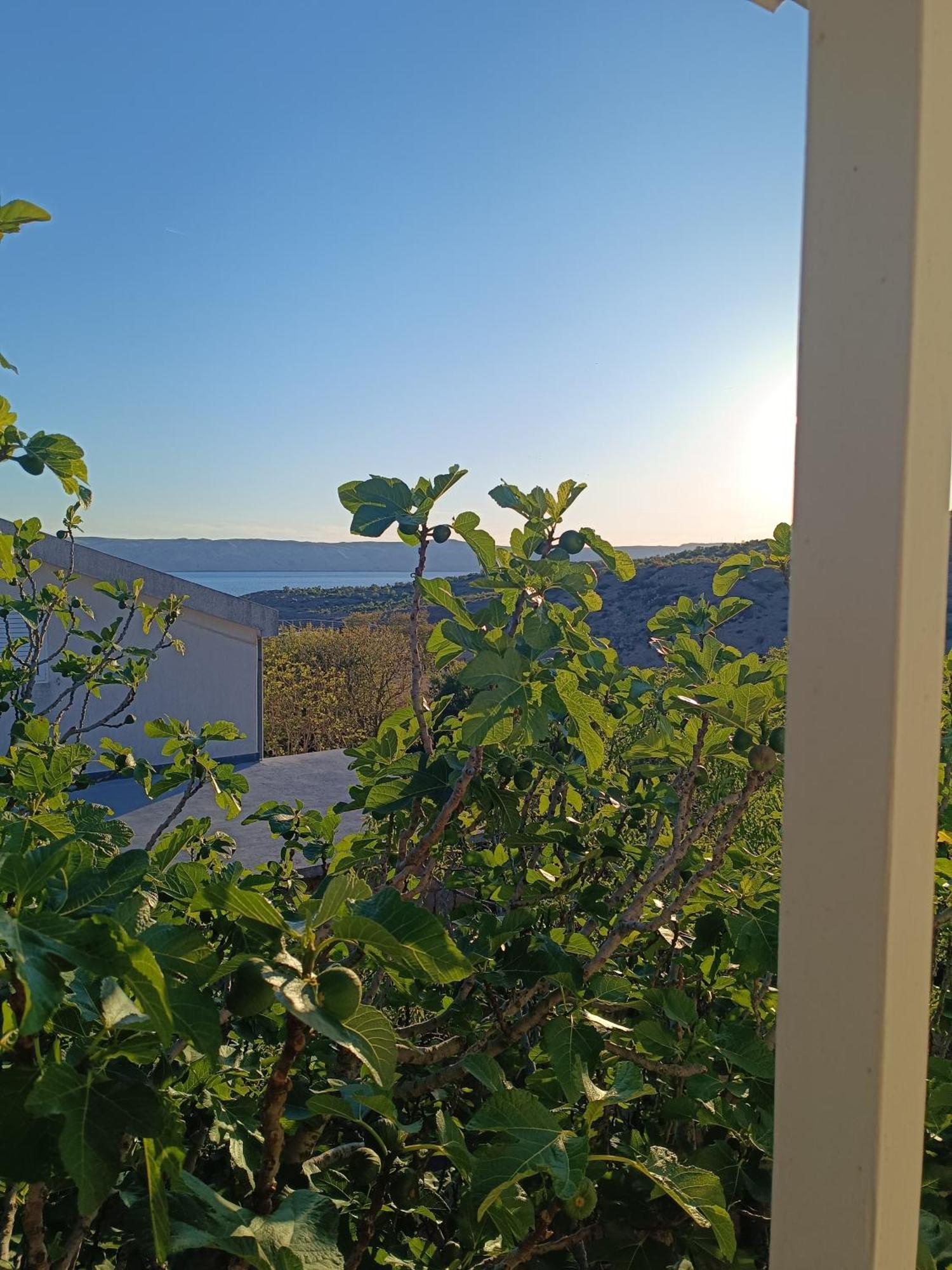 Villa Alexa Чезарица Экстерьер фото